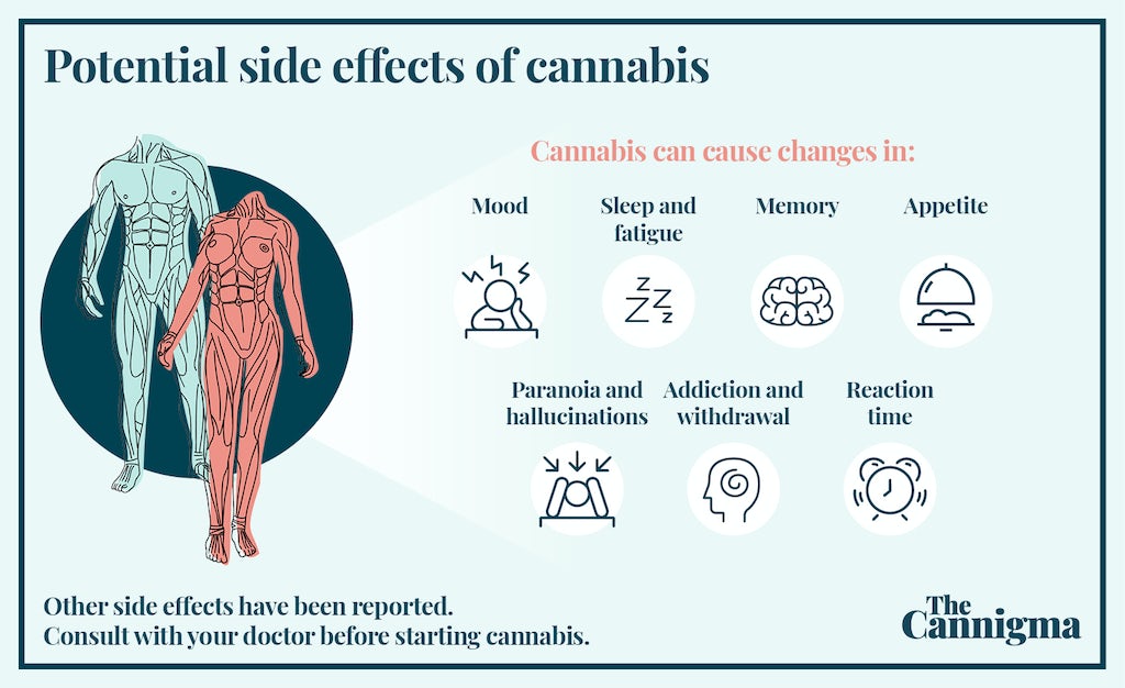 Cannabis side effects: fatigue, memory, appetite, reaction time, mood, paranoia, addiction