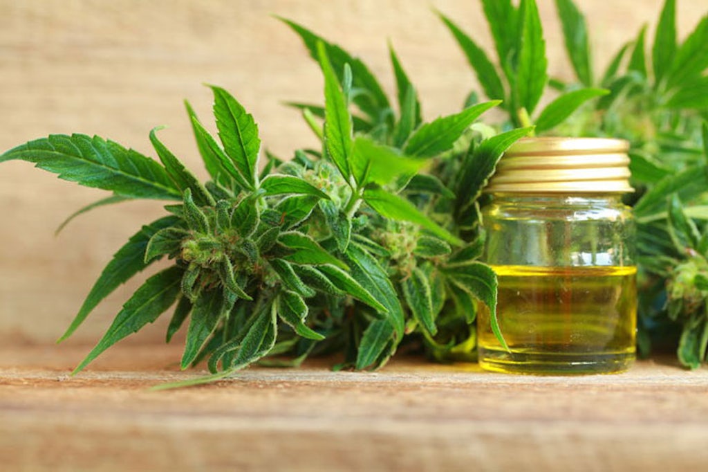 Cannabis oil and flower