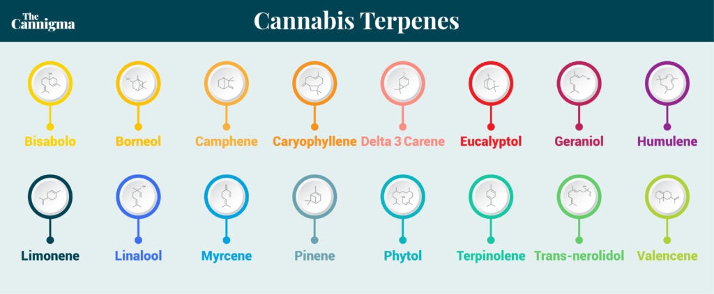 cannabis Terpene