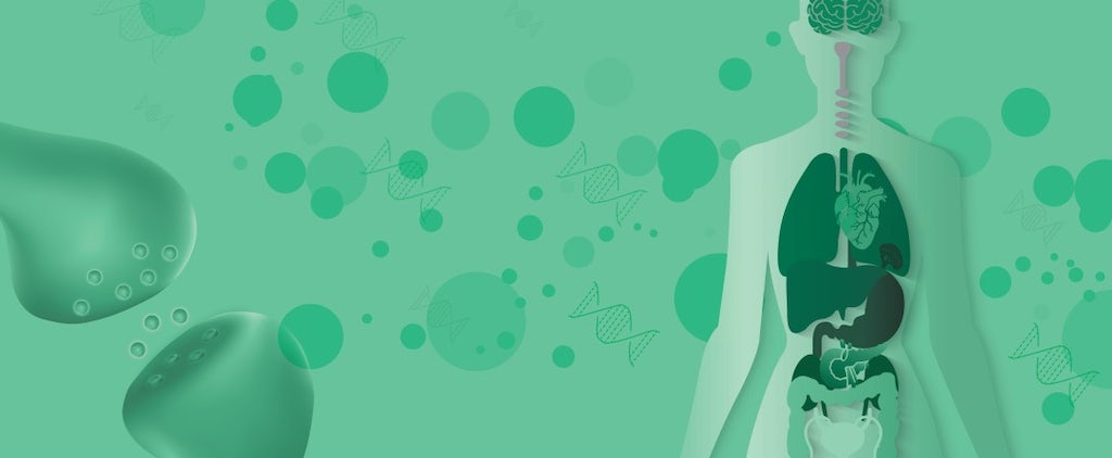 endocannabinoids