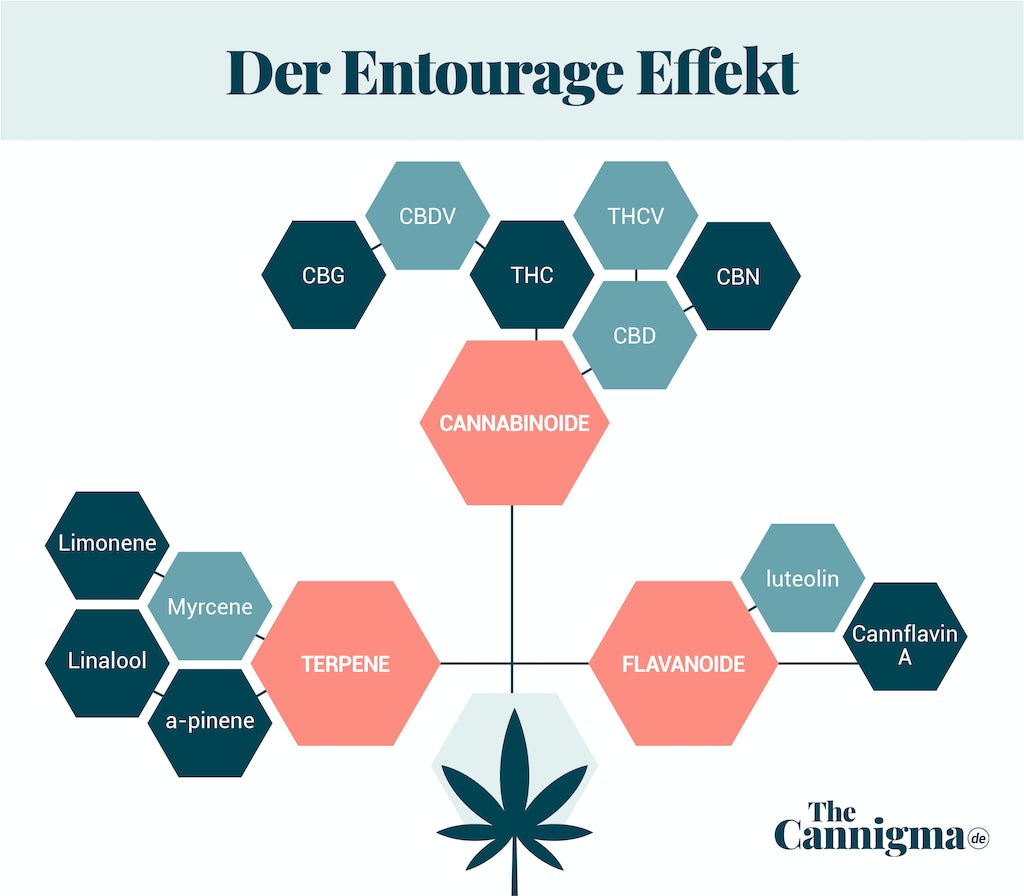Entourage-Effekt