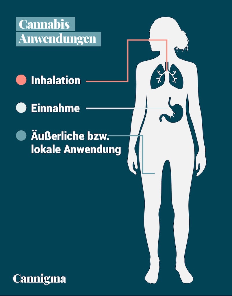 Anwendungsmethoden Cannabis