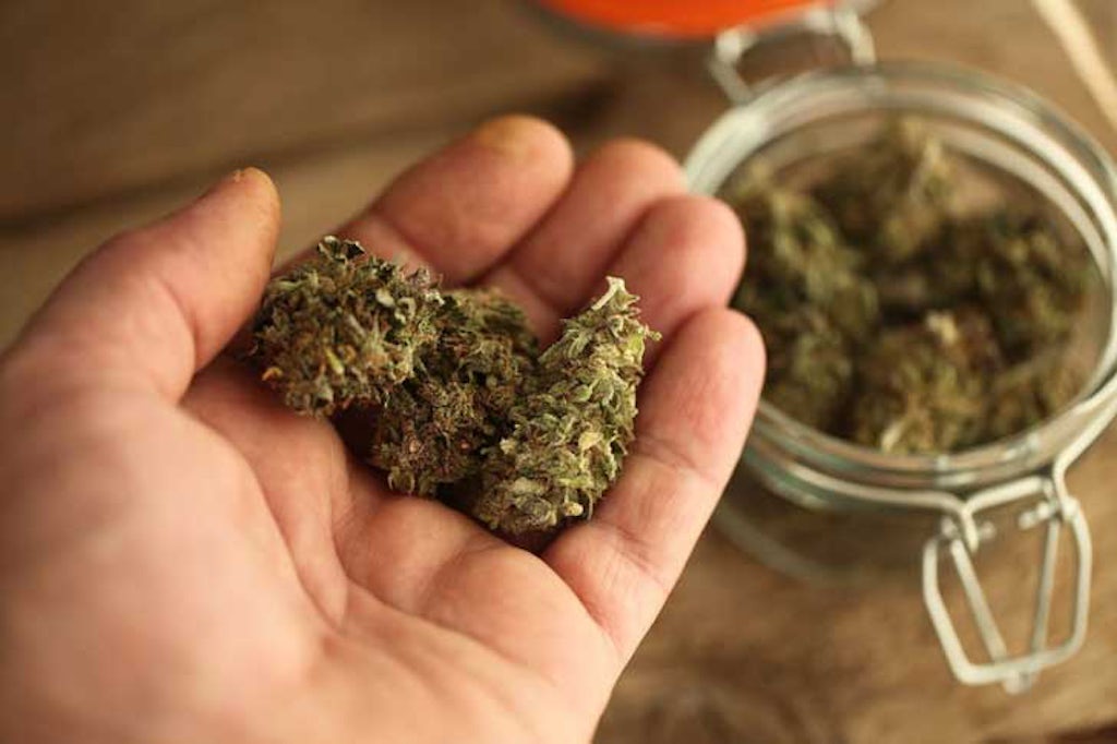 Um das THC in Cannabis zu aktivieren, muss man es zuerst decarboxylieren. (El Roi/123rf)