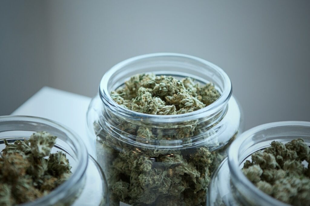 How to Store Dried Cannabis Properly