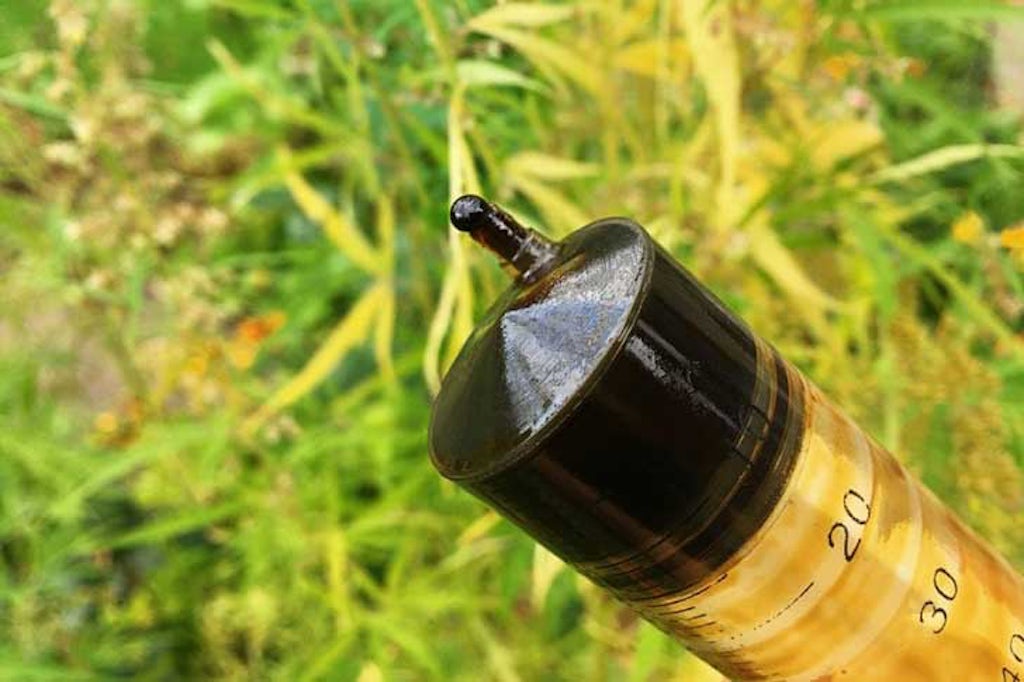 Rick Simpson Oil in a syringe