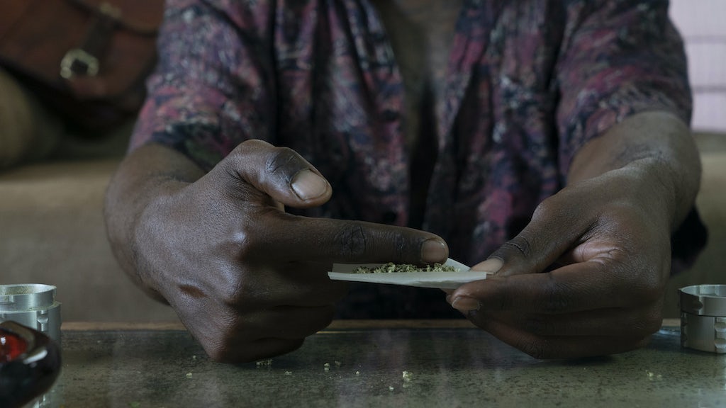 A cannabis é espalhada pela seda por um homem.