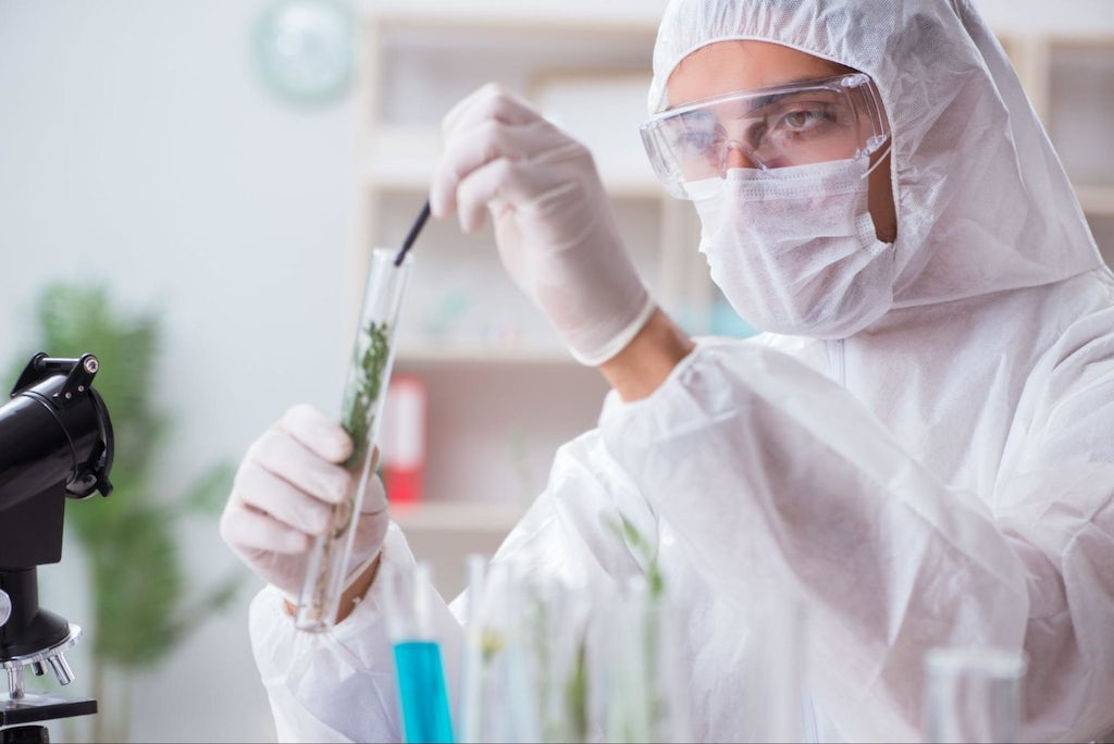 Biotechnology scientist chemist working in lab