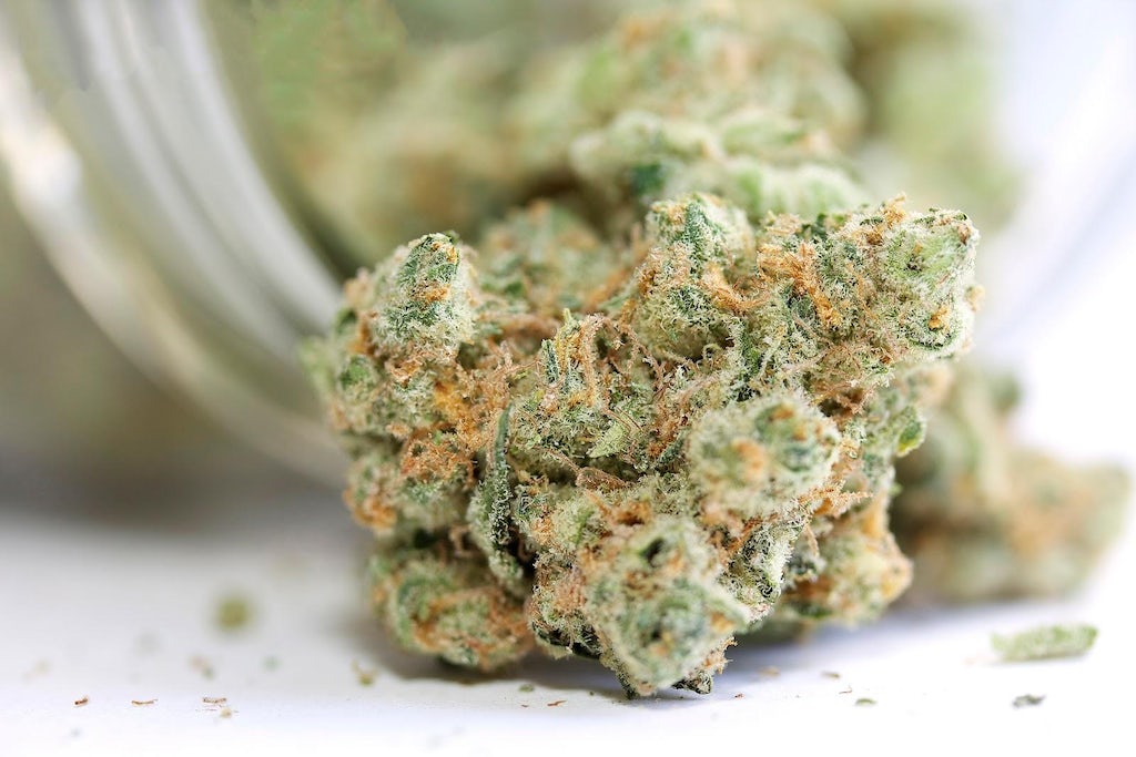 Flor de cannabis seca