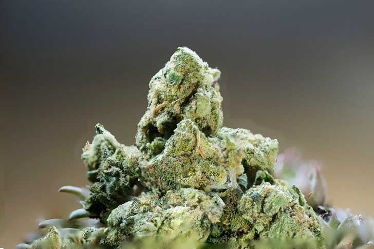 Strawberry haze