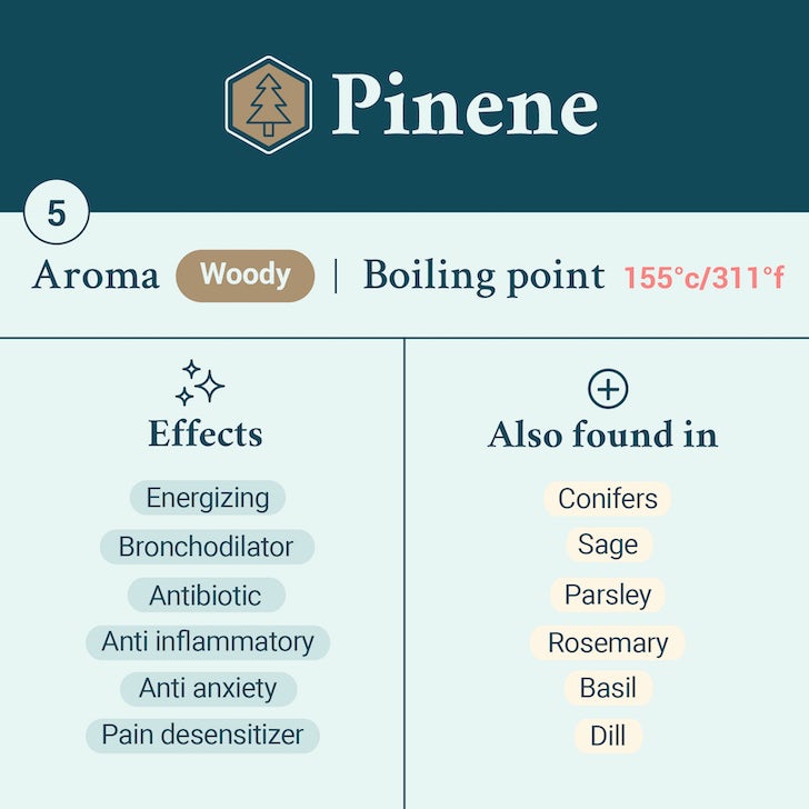 Pinene terpene card