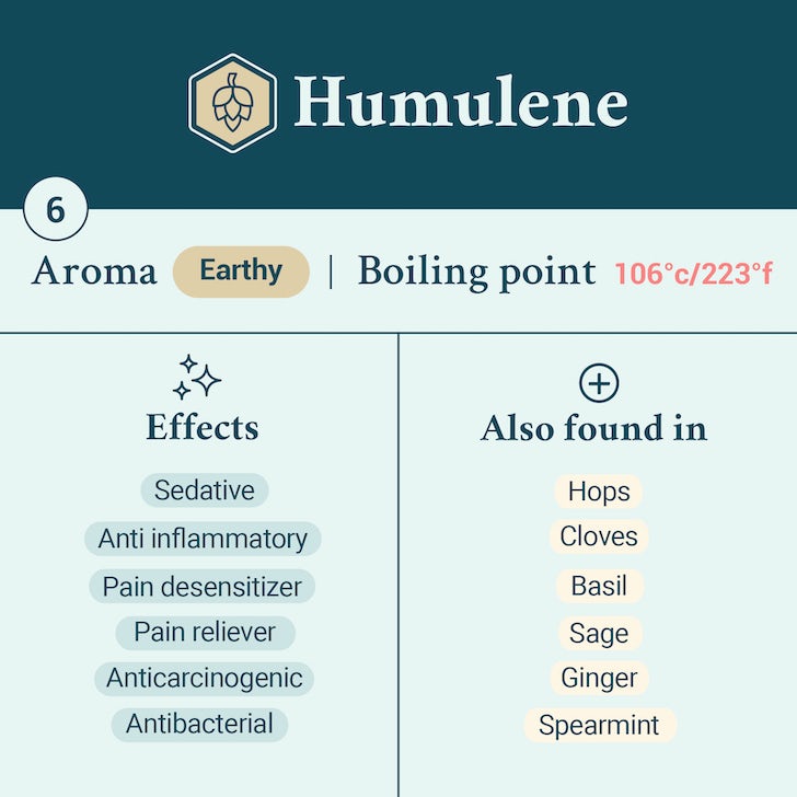 Humulene terpene card