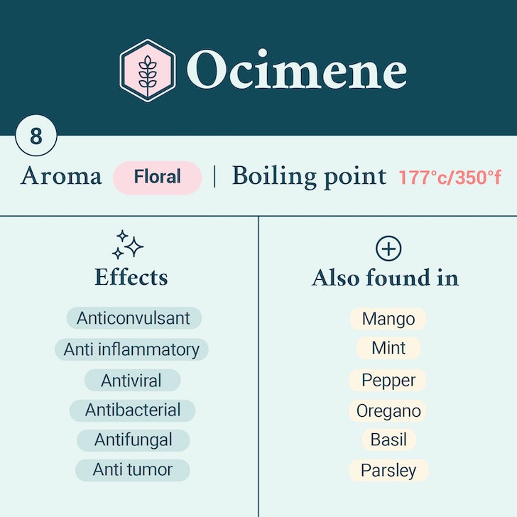 Ocimene terpene card