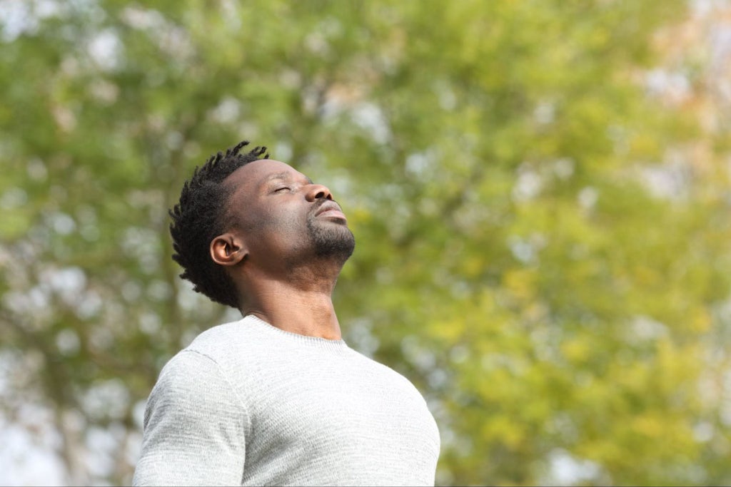 Black serious man breathing deeply fresh air in a park a sunny day with a green tree in the background